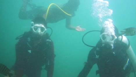 two friends enjoying scuba diving experience in malvan, tarkarli, maharashtra i scuba diving in india stock video