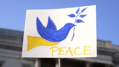 london stands with ukraine, blue and yellow dove, protester sign of peace in trafalgar square in london during protest against war with russia