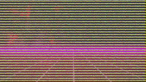 Animation-of-glitch-interference-over-neon-lines-on-black-background