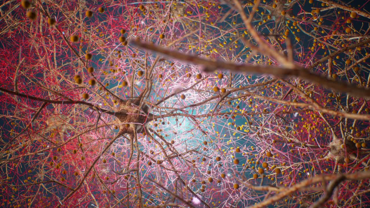 Neuroni umani e connessioni di rete neurale