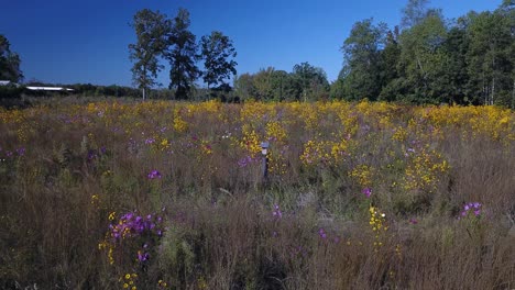 north carolina country drone footage.
