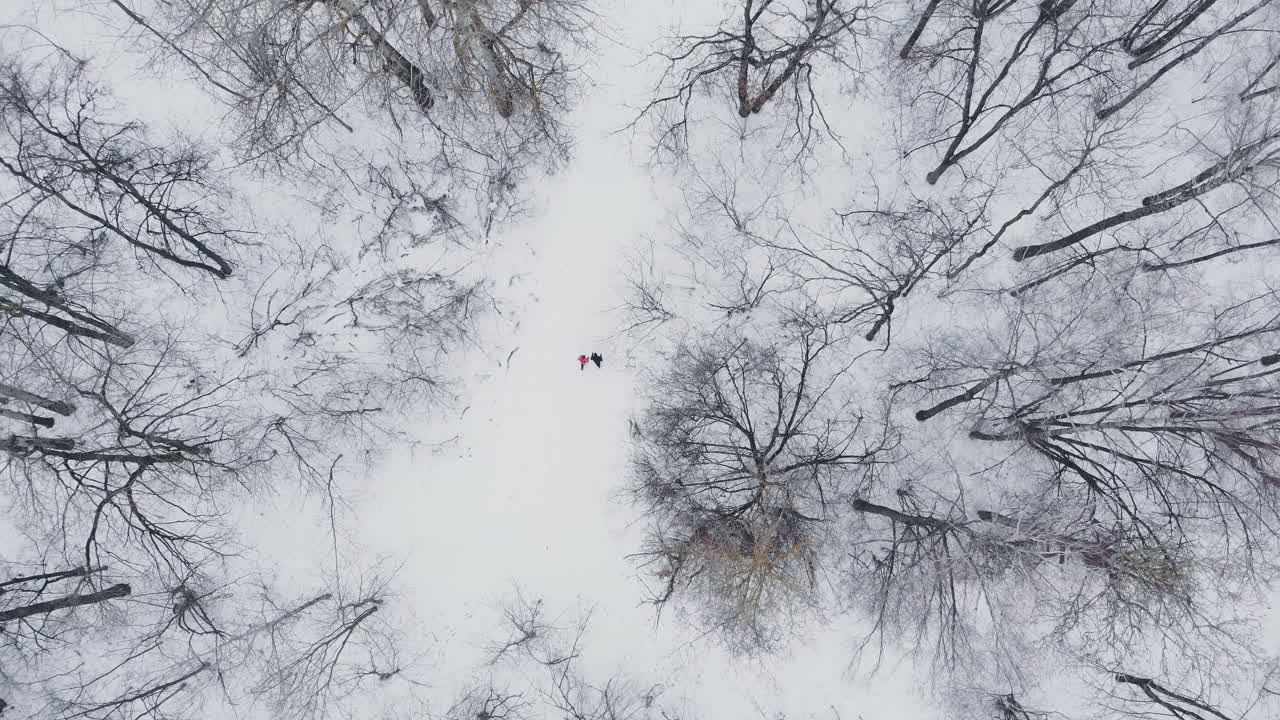Un uomo e una donna corrono d'inverno nel bosco allenandosi e prendendosi cura della propria salute. Jogging mattutino, stile di vita sano. Vista aerea.