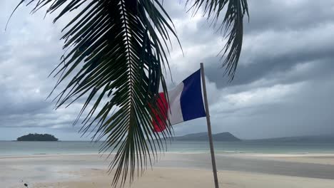 french flag on a tropical beach surrounded by palms