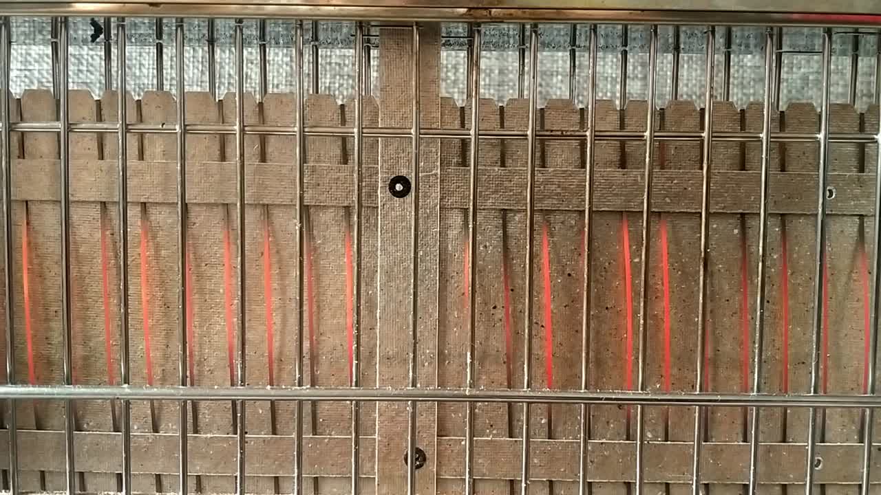 primer plano de una tostadora vertical