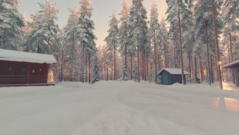 la luz dorada del sol de invierno a través de los árboles del bosque congelado finlandia parque de cabañas de madera