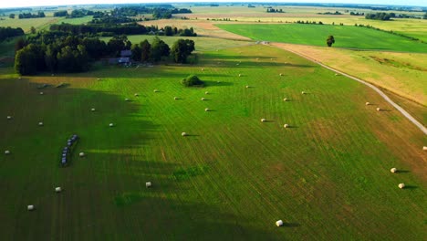 Luftbild-Von-Heuballen-Auf-Der-Wiese-Im-Sommer