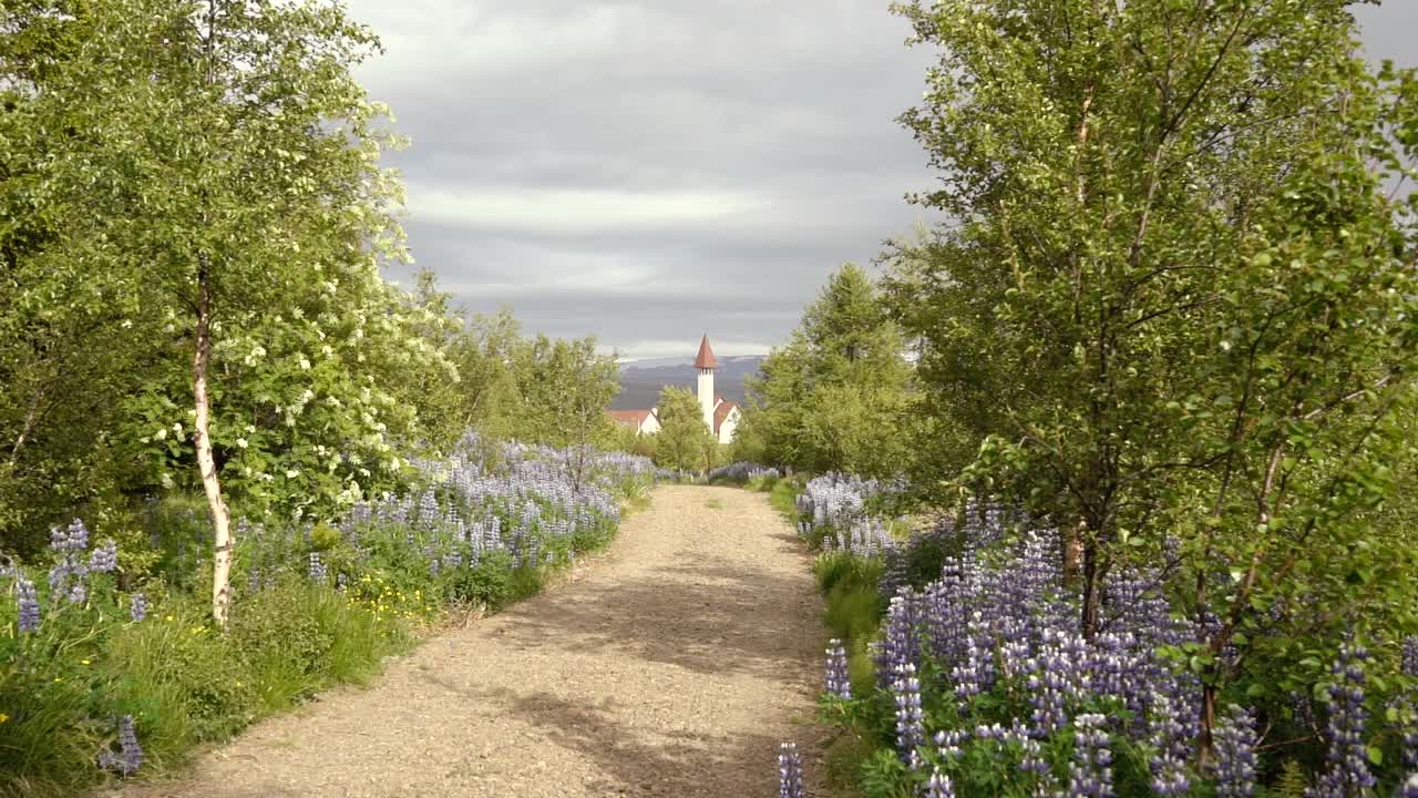 석양에 푸른 잔디의 여러 샷