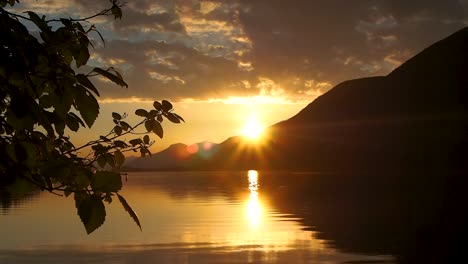 puesta de sol en el lago con ramas y bengalas