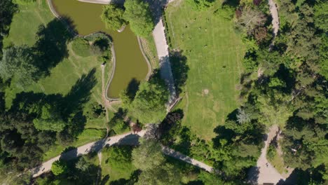 drone top-down view of a public park with a pond and some pedestrian roads