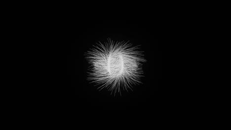 exploding firework on a black background