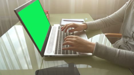 la chica que trabaja en la oficina de casa manos en el teclado. la pantalla es un fondo verde.