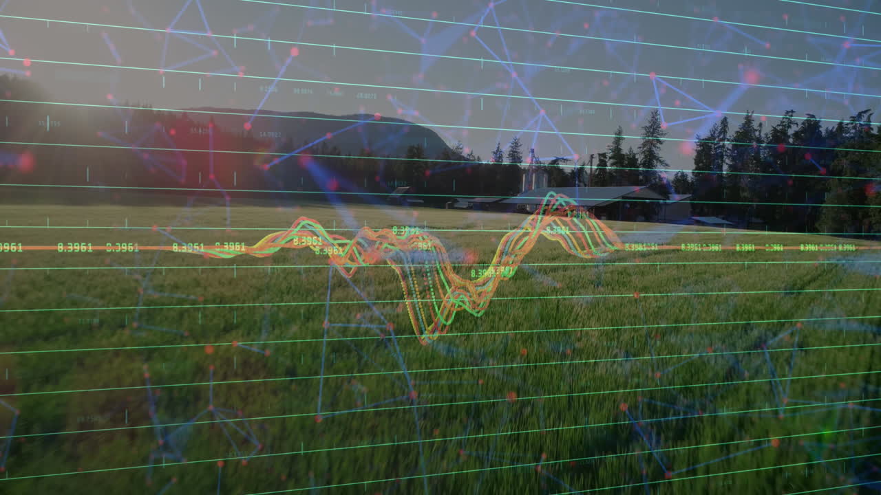 animación del procesamiento de datos financieros sobre el terreno