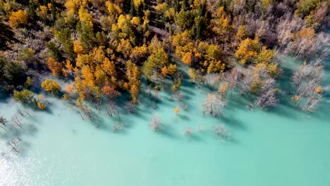 drone sliding right over lake in autumn