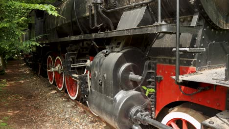 detalles de un tren de vapor antiguo con cuerpo de metal negro y ruedas rojas y blancas en la vía rodeada de vegetación exuberante