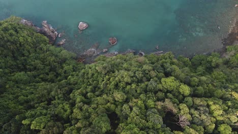 aerial footage of pristine tropical woodland rain forest and turquoise ocean with rocky coastline