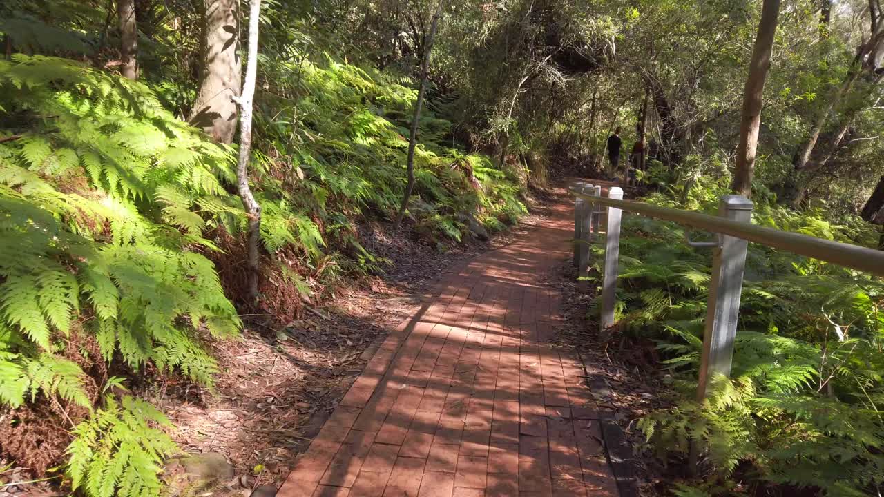 포트 스티븐스 인근의 국립 공원에서 언덕 아래로 하이킹 nsw 오스트레일리아