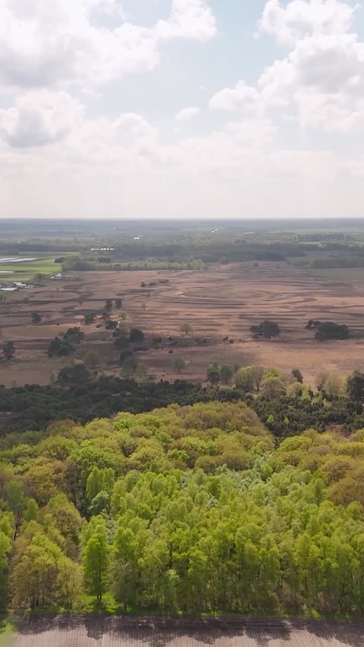Aerial view of a Dutch moorland landscape with forests