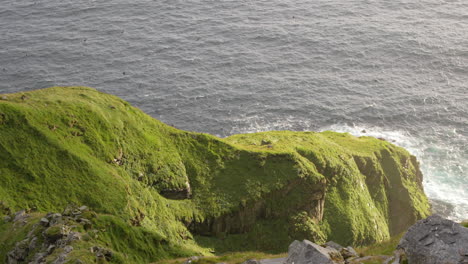 Looking-Down-a-Cliff-with-Thousands-of-Puffins-Flying-Above-the-Rocky-Coastline-of-Norway,-Slow-Motion