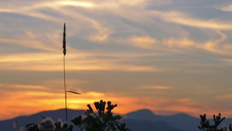 espectacular cielo de puesta de sol con horizonte dorado en verano
