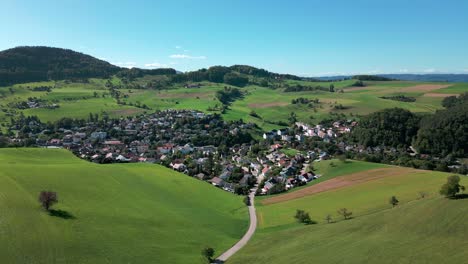 aerial view of a village from switzerland-2