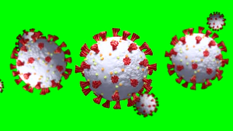 animation of coronavirus cells spinning on green screen