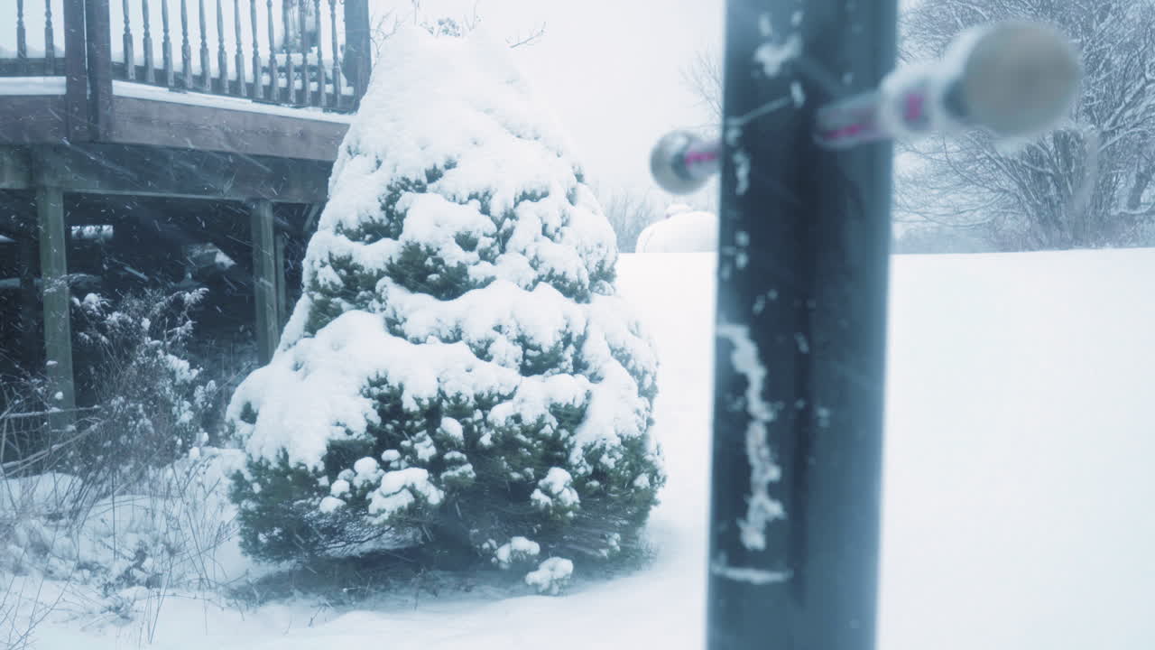 농촌 뒷마당의 큰 verandah 아래의 작은 소나무는 배경에 프로파인 크와 함께 많은 눈이 내리는 동안