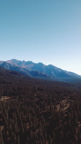 aerial view of mountain range and pine forest