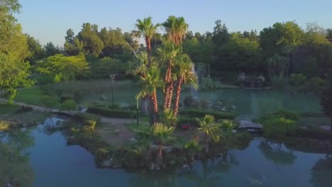 palmier lac vert arbres ville