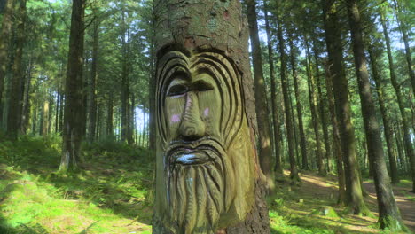Tree-trunk-with-face-carved-into-it-and-sunny-background-forest-on-summer-day-with-slow-pan