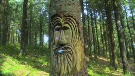 tree trunk with face carved into it and sunny background forest on summer day with slow pan