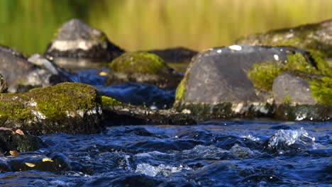 Wunderschöne-Nahaufnahme-In-Zeitlupe-Einer-Fließenden-Stromschnelle-In-Einem-Reinen-Finnischen-Fluss