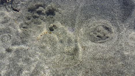 arena hirviendo y malezas en un agua corriente fría y clara