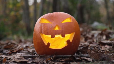 Halloween-pumpkin-glowing-in-the-woods