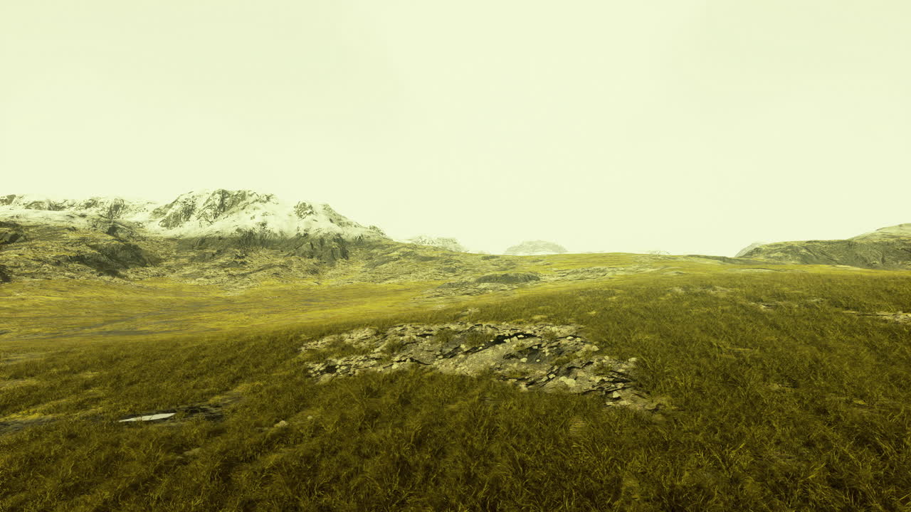Expansive grassland landscape with distant snow capped mountains under gray sky