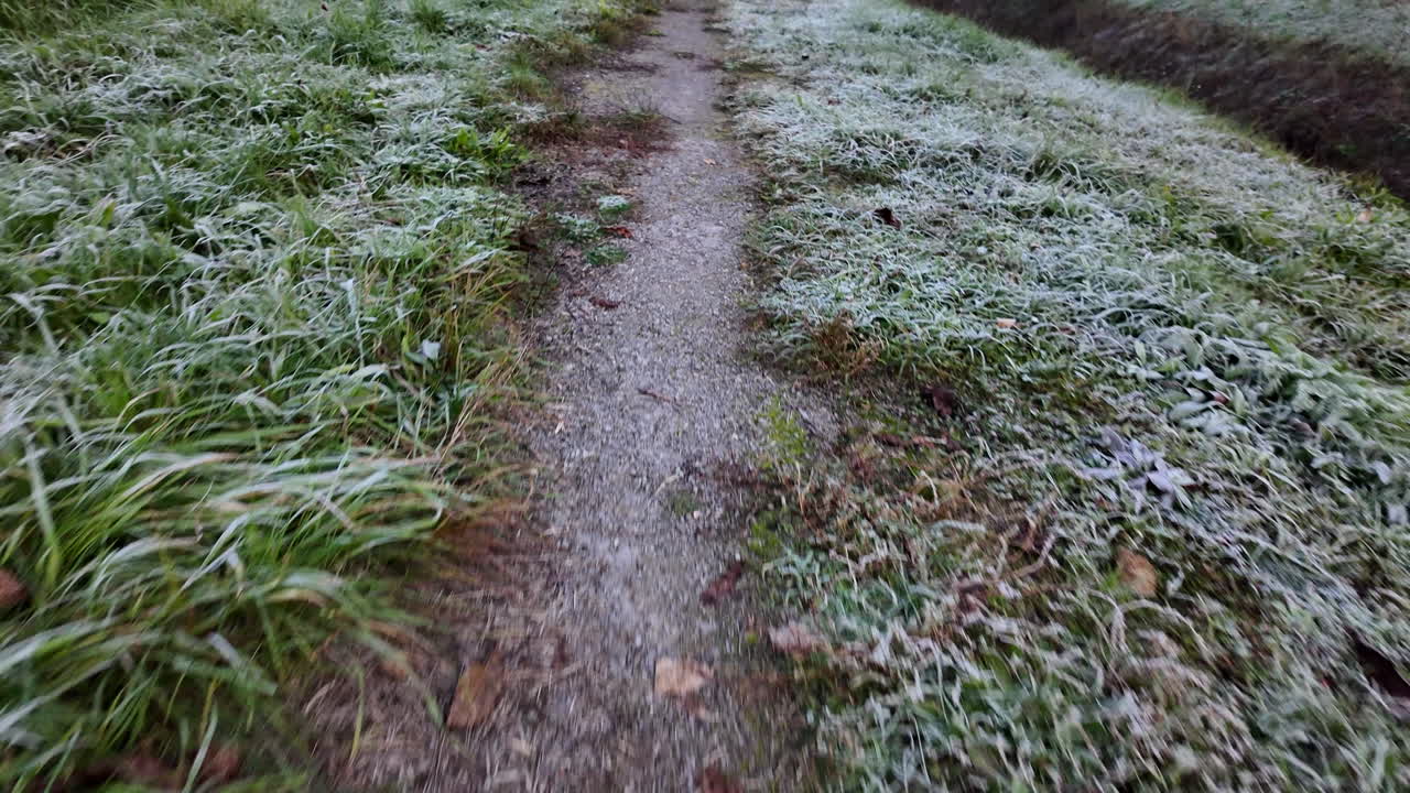 Frosty path through grassy field