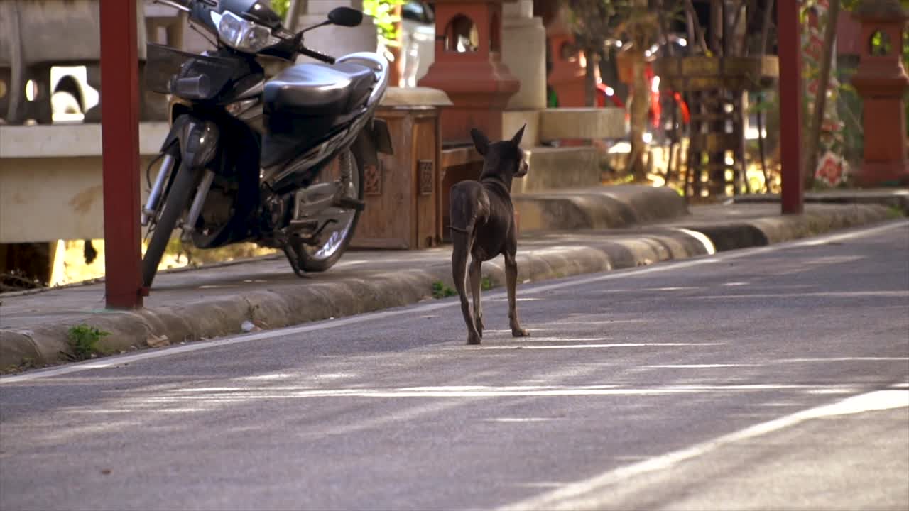 태국의 아름다움