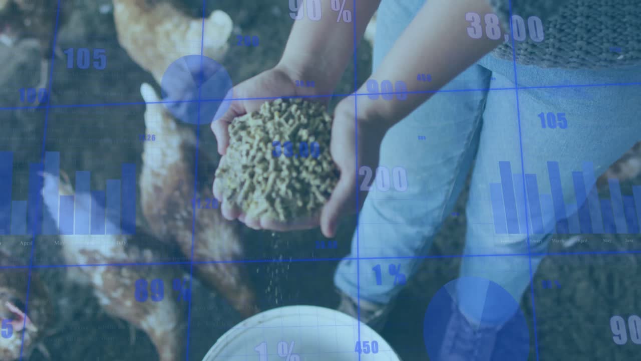 ⁇ 을 먹이는 백인 여성에 대한 금융 데이터 처리 애니메이션