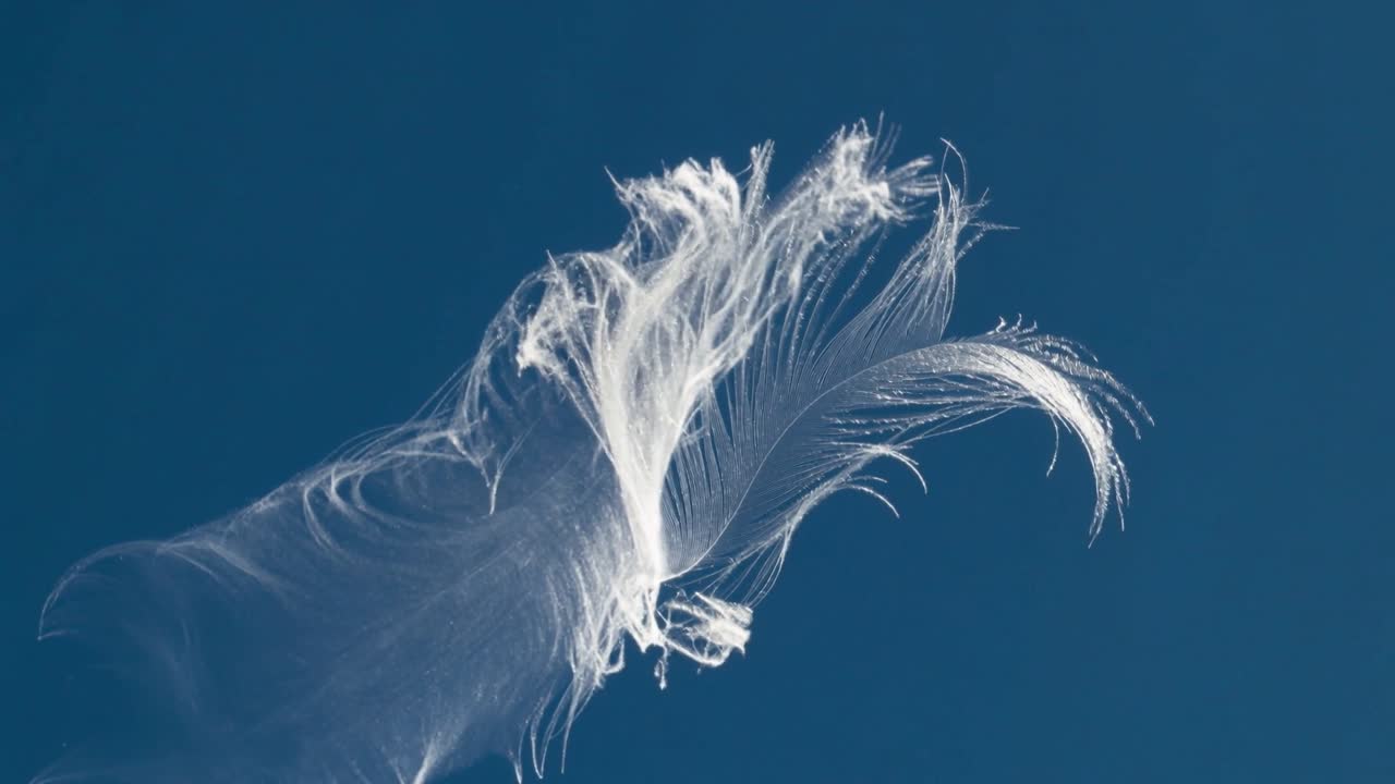 Pluma branca à deriva, com as pontas se abrindo e girando para cima em céu azul claro, devido a uma brisa suave.