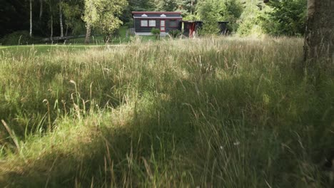 beautiful small house in the middle of a green meadow near a big forrest