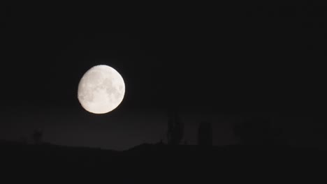 Una-Luna-Llena-Brilla-Intensamente-Mientras-Se-Mueve-En-El-Cielo-Nocturno-Oscuro,-Con-Una-Vista-Clara-De-Su-Superficie-Que-Muestra-Su-Brillo-Y-Claridad-Contra-El-Fondo-Oscuro.