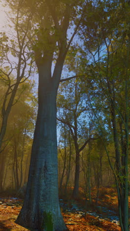 majestic tall tree in a foggy forest