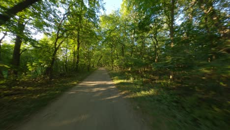 biking-run-under-tree-canopy-forest-dirt-gravel