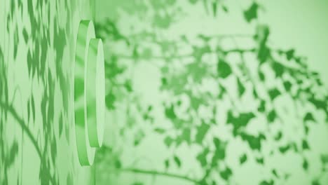 empty podium with shadows of leaves on a green background