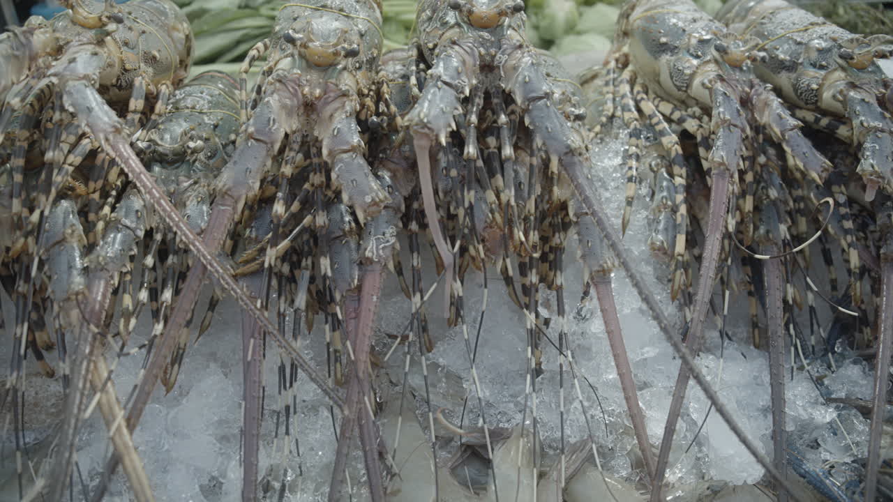 Delicious Lobster on ice at an aisan streetfood market
