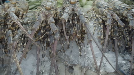 delicious lobster on ice at an aisan streetfood market