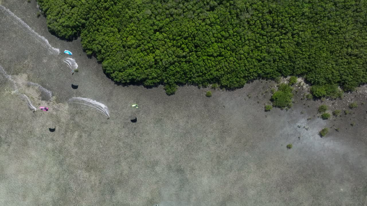 맹그로브 숲에서 카이트보딩