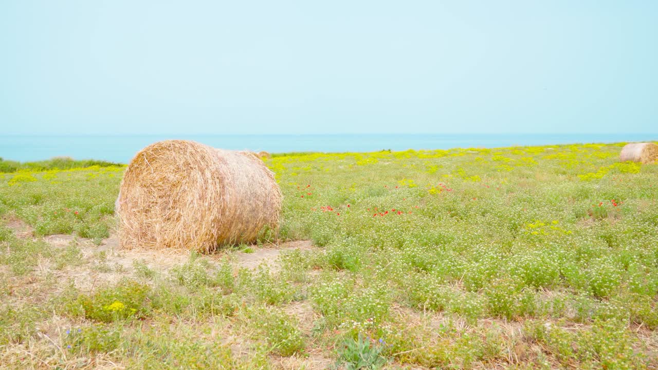 Field with hay in front of the blue sea