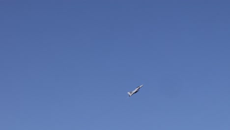 varios pájaros volando en una secuencia a través del cielo