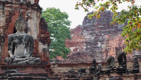 buddha statues amidst ancient temple ruins