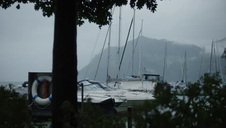 mountain, tree, silhouette, windy, fog, boats, lake, rain, cloudy, storm, moody, switzerland, early morning, hergiswil, harbor, europe